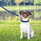 Nylon Dog Leash